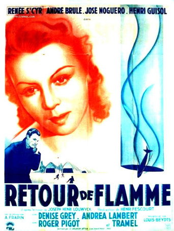 Retour de flamme movie poster