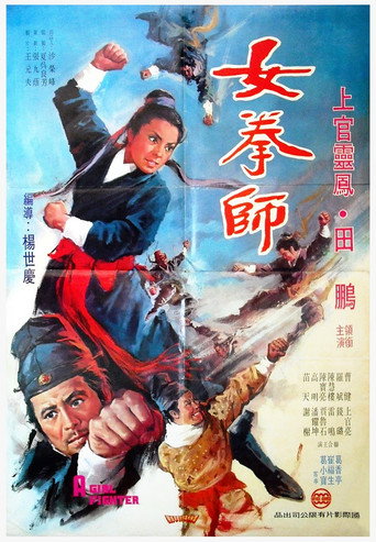 A Girl Fighter movie poster