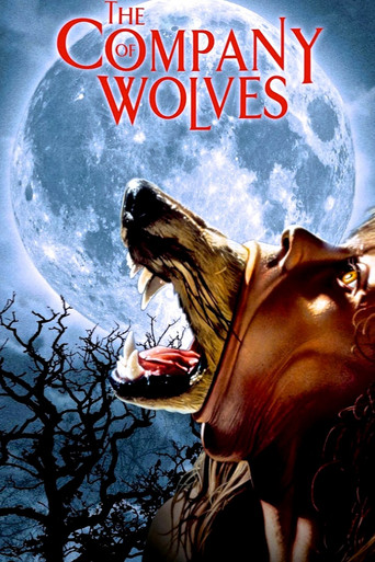 The Company of Wolves movie poster