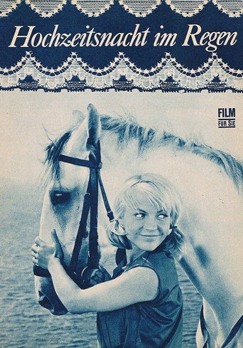 Wedding Night In The Drizzle movie poster