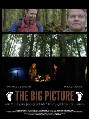The Big Picture movie poster