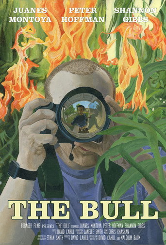 The Bull movie poster