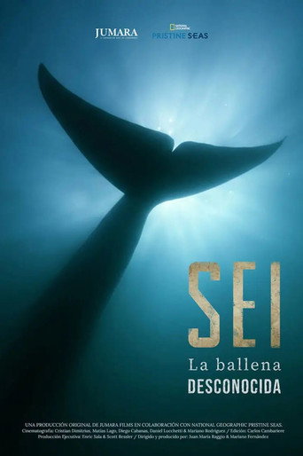 Sei La Ballena Desconocida movie poster