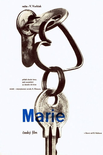 Mary movie poster