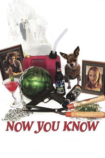 Now You Know movie poster