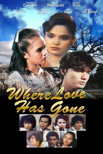 Where Love Has Gone movie poster