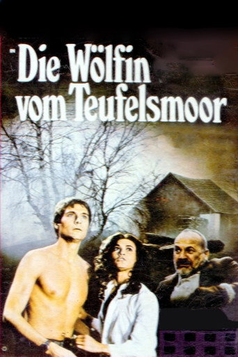 The Devil's Bed movie poster