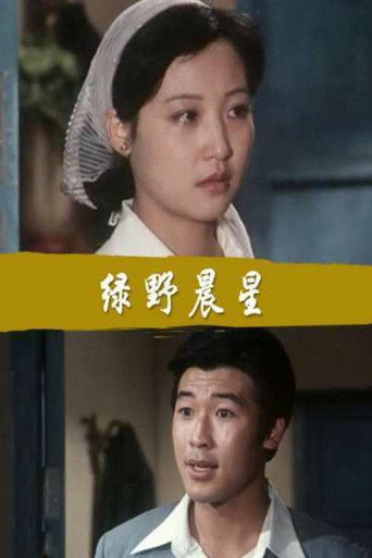 绿野晨星 movie poster