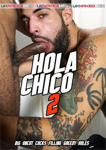 Hola Chico 2 movie poster