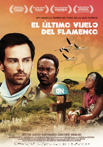 O Último Voo do Flamingo movie poster