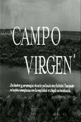 Virgin field movie poster