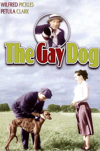 The Gay Dog movie poster