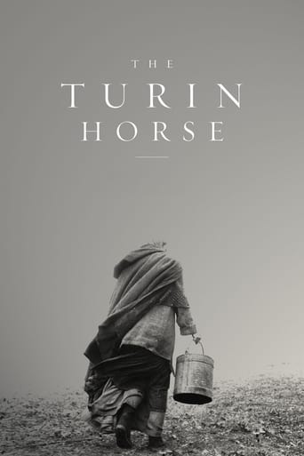 The Turin Horse movie poster