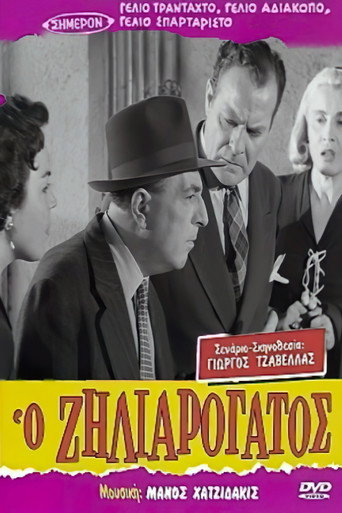 Jealous like a Cat movie poster