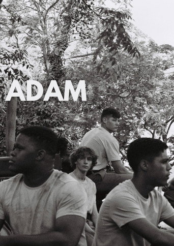 Adam movie poster