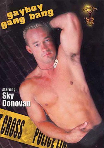 Gayboy Gang Bang movie poster