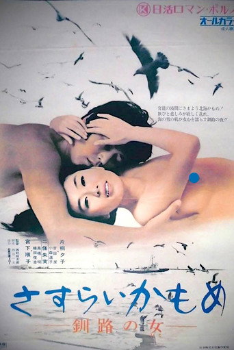 Wandering Seagull: Night in Kushiro movie poster