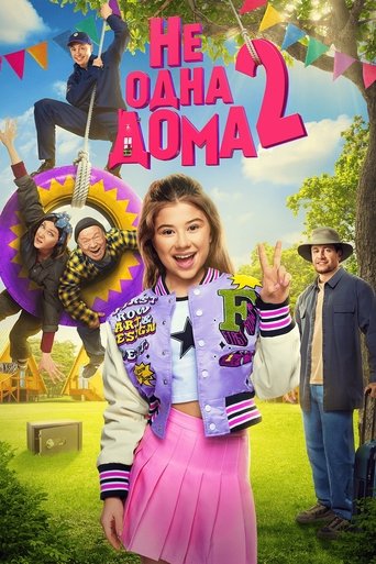 Home Not Alone 2 movie poster