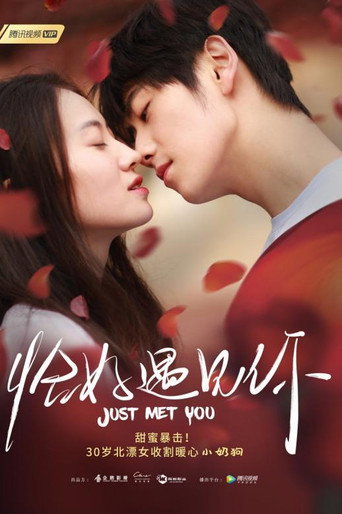 Just Met You movie poster