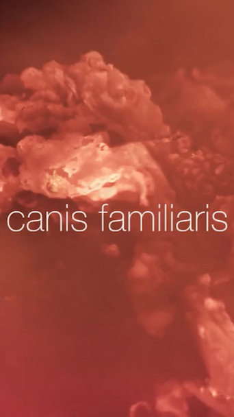 Canis familiaris movie poster