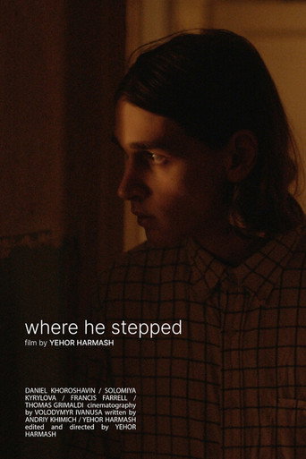 where he stepped movie poster