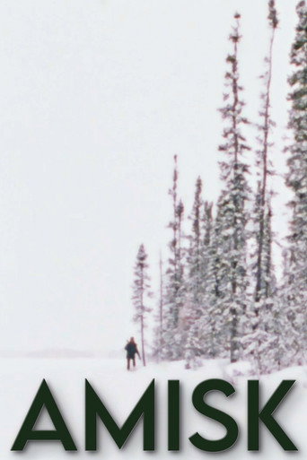 Amisk movie poster