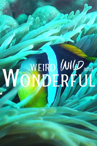 Weird, Wild, and Wonderful movie poster