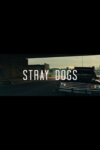 Stray Dogs movie poster