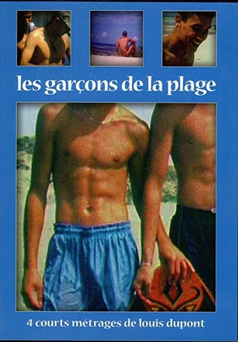 Beach Boys movie poster