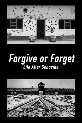Forgive or Forget movie poster