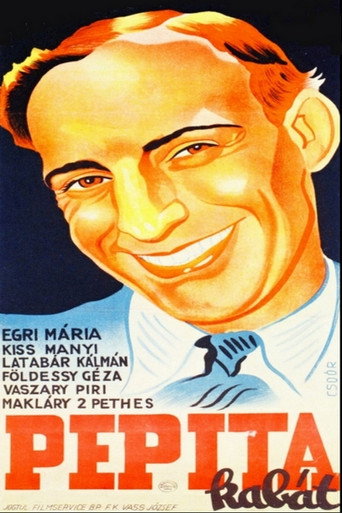 The Chequered Coat movie poster
