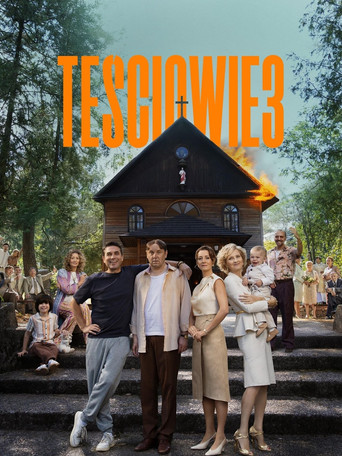 The In-Laws 3 movie poster