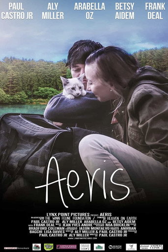 Aeris movie poster