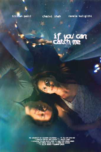 If You Can Catch Me movie poster