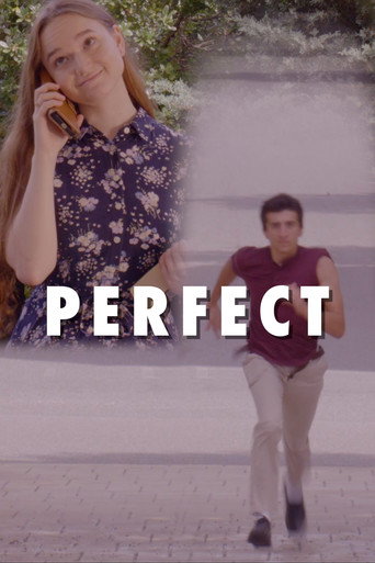 Perfect movie poster