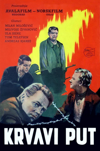 The Blood Road movie poster