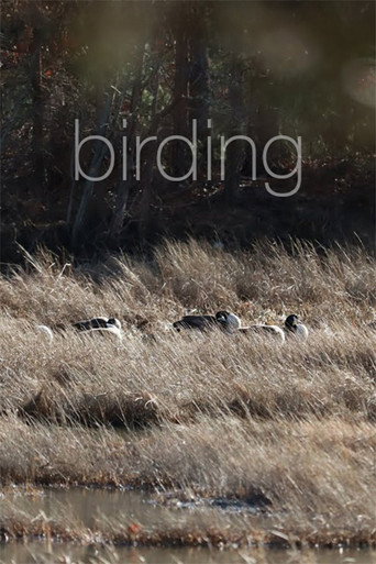 Birding movie poster