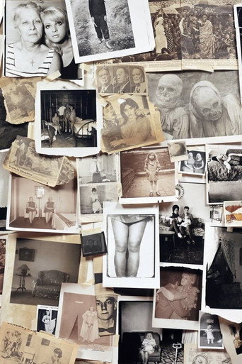 A Slide Show and Talk by Diane Arbus movie poster