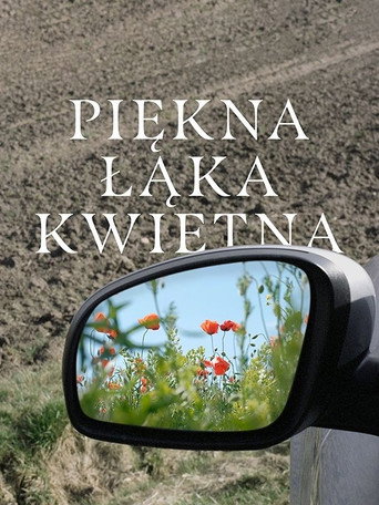 A Beautiful Wildflower Meadow movie poster