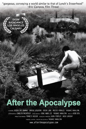 After the Apocalypse movie poster