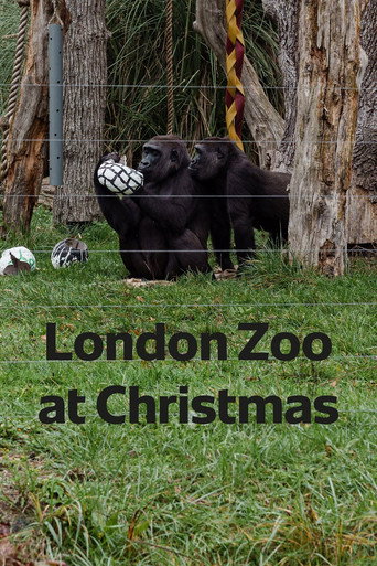 London Zoo at Christmas movie poster