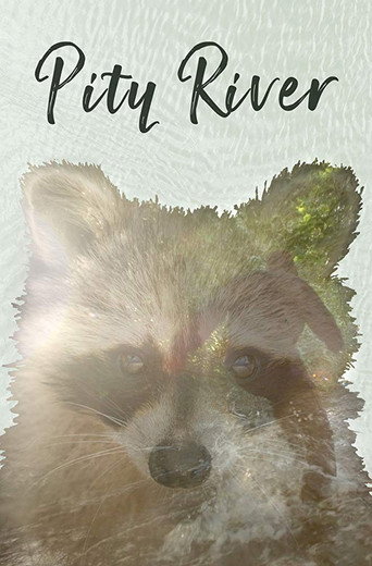 Pity River movie poster