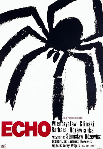 Echo movie poster