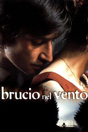 Brucio nel vento movie poster