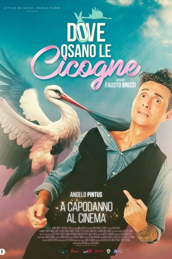 Where Storks Dare movie poster