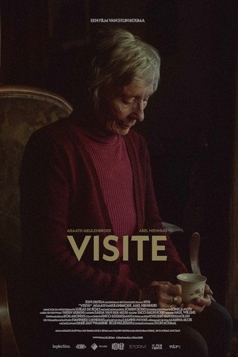Visit movie poster