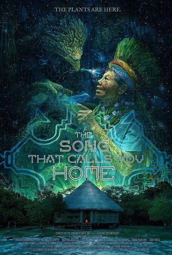 The Song That Calls You Home movie poster