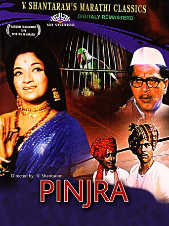 Pinjra movie poster