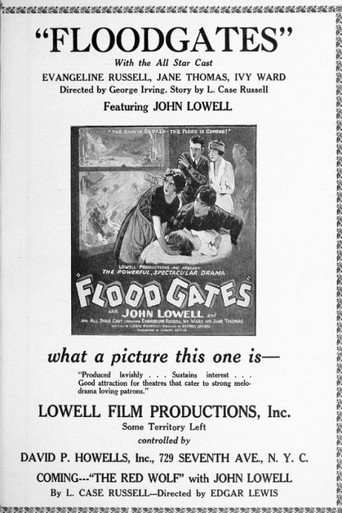 Floodgates movie poster