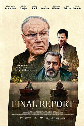 Final Report movie poster